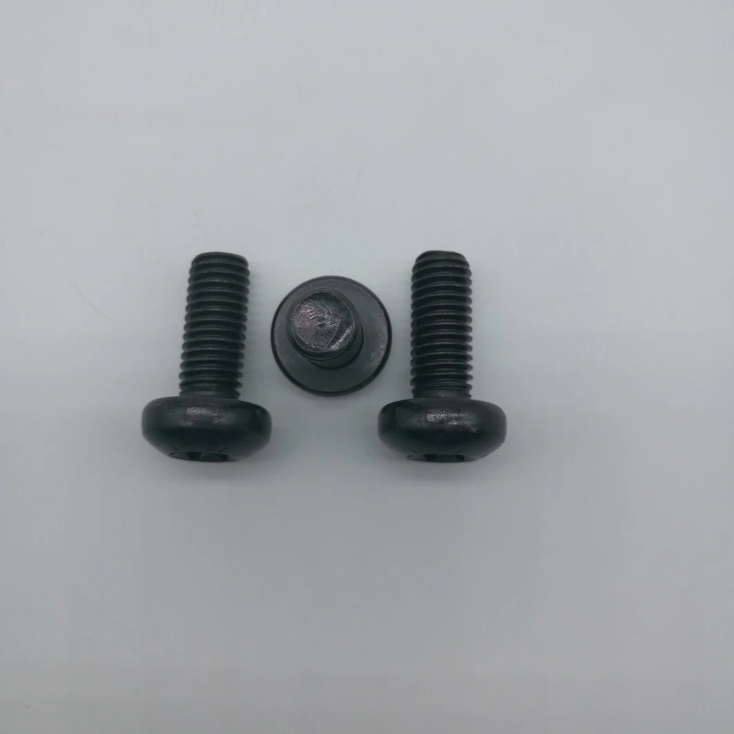 Torx Screw Pan Head Screws T30