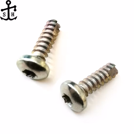 Hexalobular Socket Torx Pan Head Stainless Steel Self Tapping Screws Thread Forming with Cutter Made in China